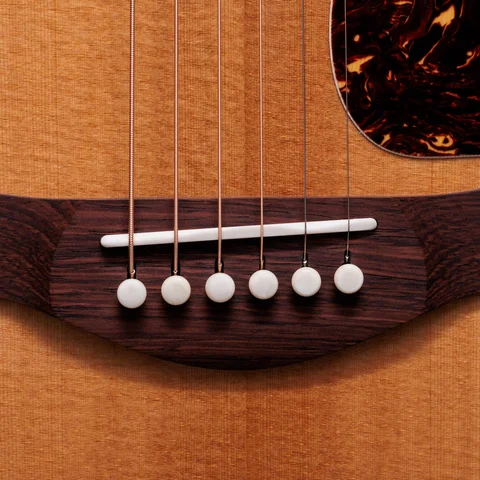 2024年の新アコースティックギター | Taylor Guitars